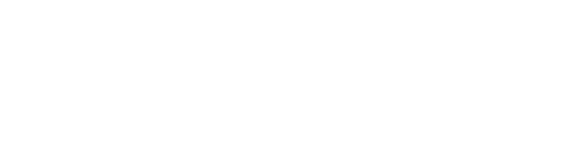 תדהר